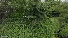 Lejlighed til leje, Løgstør, Skovbakkevej<span class="blurred street-number" onclick="ProcessAdRequest(1540643)"><span class="hint">Se vejnr.</span>[xxxxxxxx]</span>