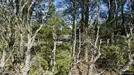 Lejlighed til salg, Nørre Nebel, &lt;span class=&quot;blurred street&quot; onclick=&quot;ProcessAdRequest(2761651)&quot;&gt;&lt;span class=&quot;hint&quot;&gt;Se vej-navn&lt;/span&gt;[xxxxxxxxxx]&lt;/span&gt;