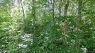 Lejlighed til salg, Farsø, &lt;span class=&quot;blurred street&quot; onclick=&quot;ProcessAdRequest(3047921)&quot;&gt;&lt;span class=&quot;hint&quot;&gt;Se vej-navn&lt;/span&gt;[xxxxxxxxxx]&lt;/span&gt;