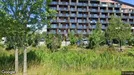 Lejlighed til leje, Solrød Strand, Fortunas Have<span class="blurred street-number" onclick="ProcessAdRequest(3140490)"><span class="hint">Se vejnr.</span>[xxxxxxxx]</span>