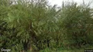 Lejlighed til salg, Frederikssund, Græse Strandvej