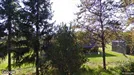 Lejlighed til salg, Femø, Lyngvej<span class="blurred street-number" onclick="ProcessAdRequest(3348901)"><span class="hint">Se vej-nummer</span>[xxxxxxxxxxxx]</span>