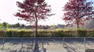 Lejlighed til leje, Smørum, Søagerhusene<span class="blurred street-number" onclick="ProcessAdRequest(3375703)"><span class="hint">Se vejnr.</span>[xxxxxxxx]</span>