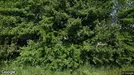Lejlighed til leje, Klarup, Klarup Søpark<span class="blurred street-number" onclick="ProcessAdRequest(3381700)"><span class="hint">Se vejnr.</span>[xxxxxxxx]</span>