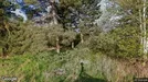 Lejlighed til salg, Grevinge, Krovejen<span class="blurred street-number" onclick="ProcessAdRequest(3383102)"><span class="hint">Se vejnr.</span>[xxxxxxxx]</span>