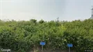 Lejlighed til leje, Herning, Koustrup Have<span class="blurred street-number" onclick="ProcessAdRequest(3459976)"><span class="hint">Se vejnr.</span>[xxxxxxxx]</span>