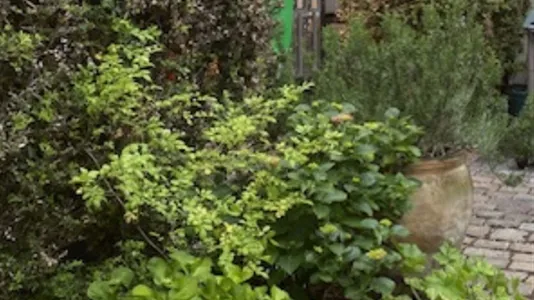 Lejligheder i København K - billede 4