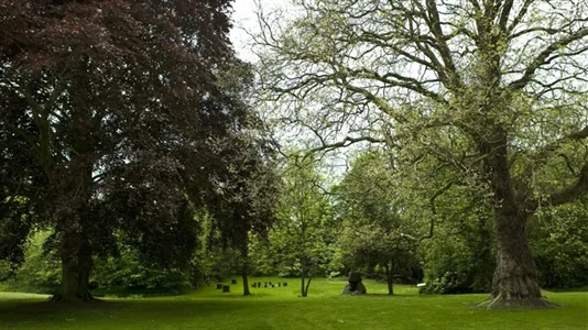 Lejligheder i Nykøbing Falster - billede 12