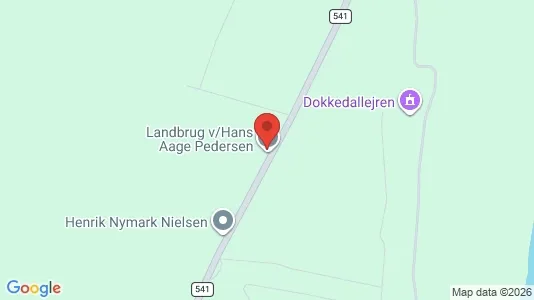 Lejligheder til salg i Storvorde - Foto fra Google Street View