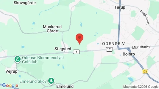Lejligheder til leje i Odense V - kort over placeringen