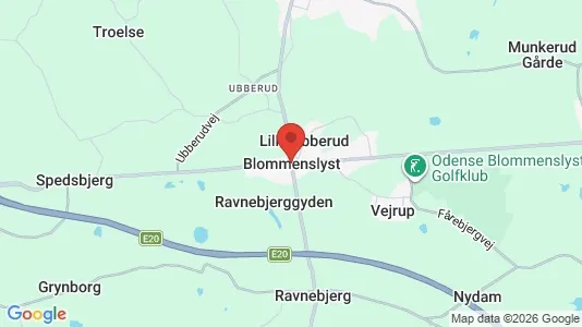 Lejligheder til leje i Blommenslyst - kort over placeringen