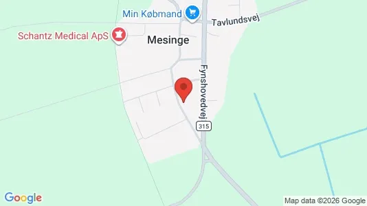 Lejligheder til salg i Mesinge - kort over placeringen