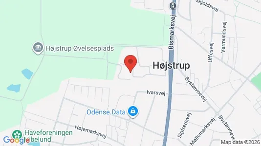 Lejligheder til leje i Odense V - kort over placeringen
