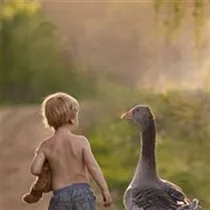 Niklas søger: lejlighed til leje i København K, Vesterbro eller Østerbro m.fl. 